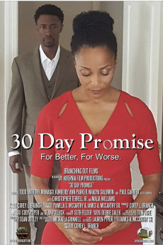 30 Day Promise (2017) download