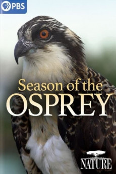 Nature Season of the Osprey (2021) download