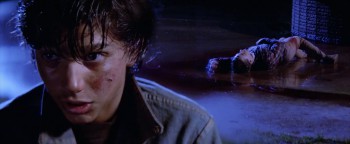 The Outsiders (1983) download