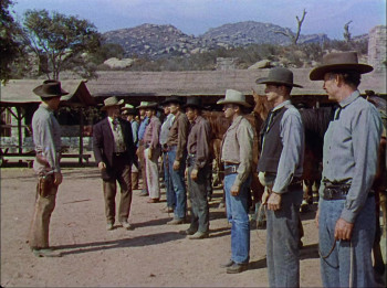 The Texas Rangers (1951) download